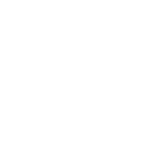 Logik AI Logo